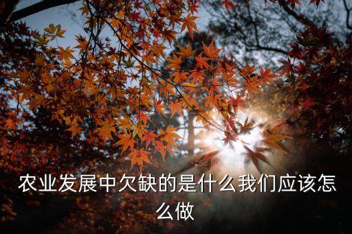  农业发展中欠缺的是什么我们应该怎么做
