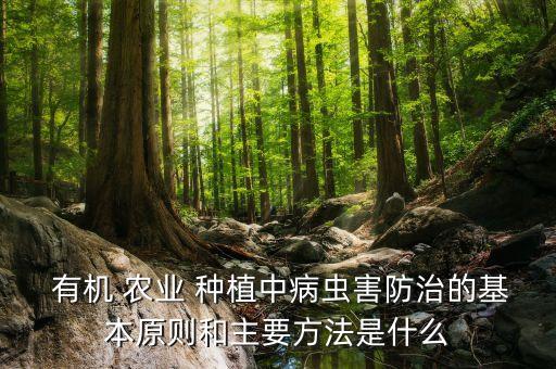 有机农业怎么种植,有机蔬菜怎么种植