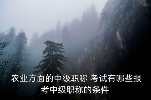 农业经济师怎么考试通过