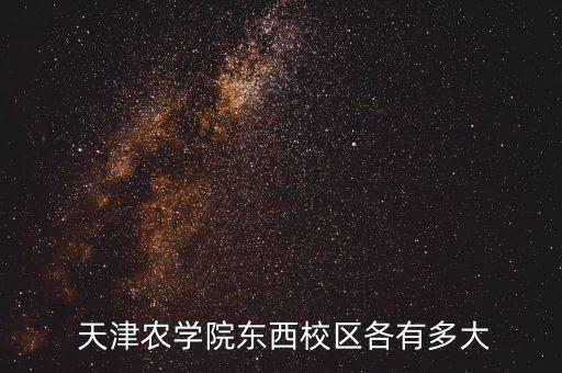 天津农业大学食宿怎么样
