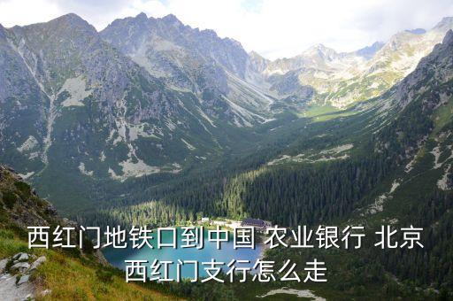 西红门地铁口到中国 农业银行 北京西红门支行怎么走