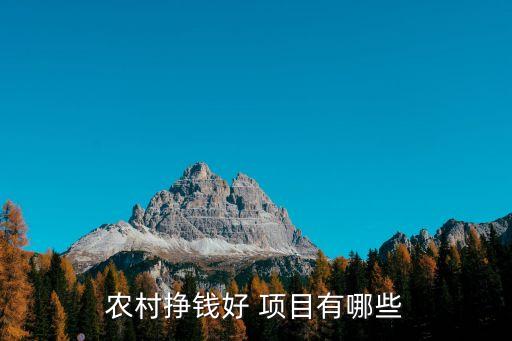 农村挣钱好 项目有哪些