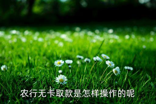 农业银行没卡取钱怎么取,为什么农业银行卡取不了钱了