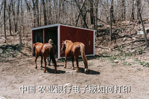 怎么下载农业银行银行回单,农业银行手机银行电子回单在哪里看