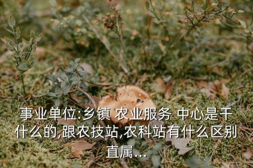 农业中心全称是什么,农业行全称是什么银行名称