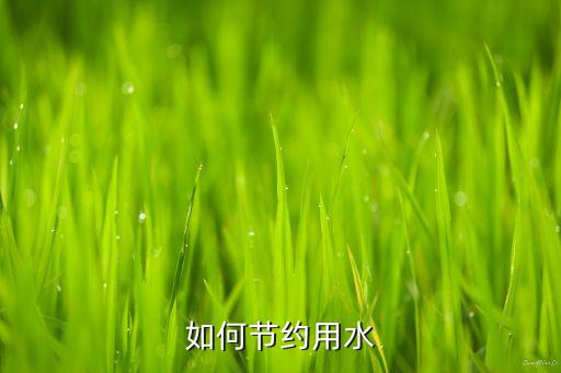 农业中怎么不浪费水做法