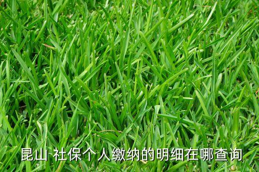 昆山农业银行怎么查社保,农业银行可以查社保缴费情况吗