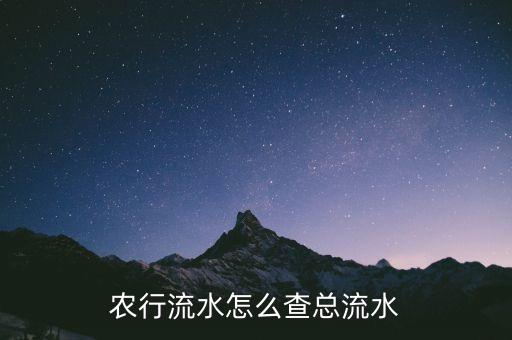 怎么查农业银行的收入,农业银行app查年收入