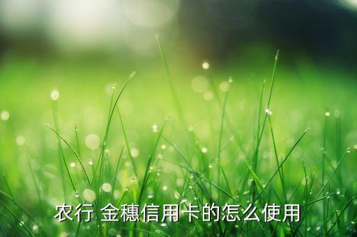 农行 金穗信用卡的怎么使用