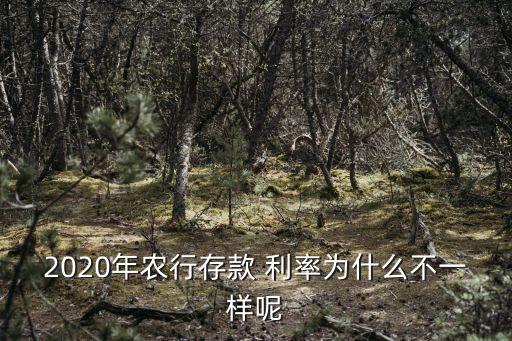 2020年农行存款 利率为什么不一样呢