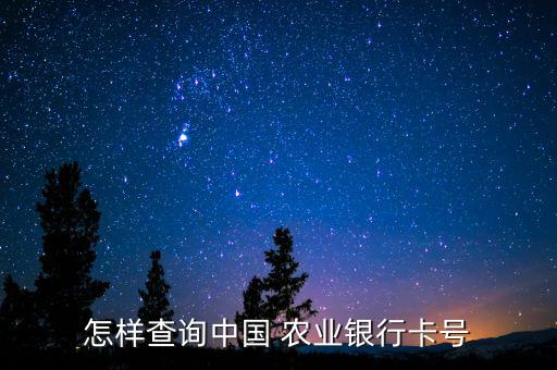 农业校园卡卡号怎么查,怎么查学校校园卡的卡号