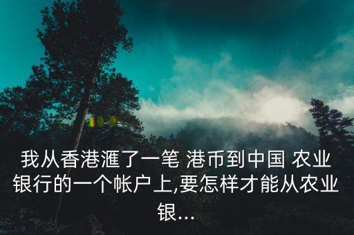 我从香港滙了一笔 港币到中国 农业银行的一个帐户上,要怎样才能从农业银...