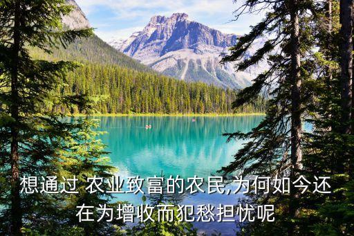 想通过 农业致富的农民,为何如今还在为增收而犯愁担忧呢