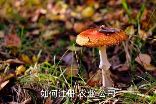 农业科技公司要怎么发展,巴喜夫农业科技公司