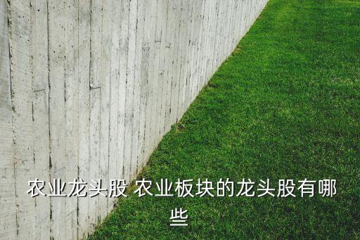 现代新农业股票怎么样