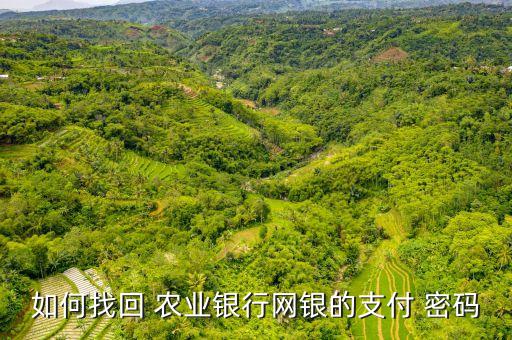 农业银行卡怎么查密码,怎么查农业银行卡的开户行支行