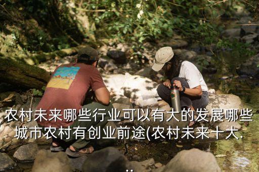 农村未来哪些行业可以有大的发展哪些城市农村有创业前途(农村未来十大...
