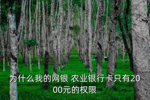 为什么我的网银 农业银行卡只有2000元的权限