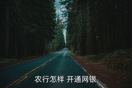 网上农业银行怎么开通的,农业银行信用卡可以网上开通吗