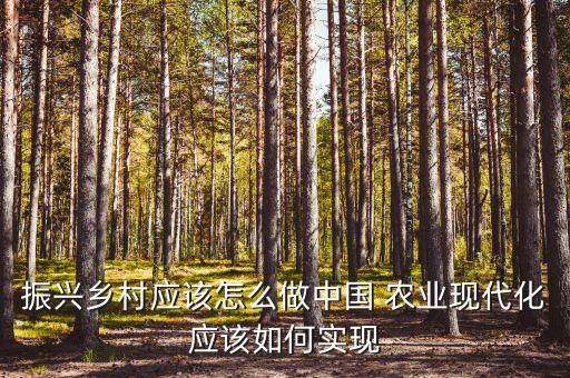 中国怎么才能发展好农业,中国是怎么发展起来的