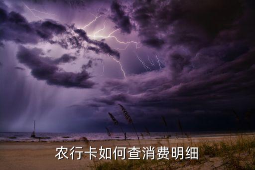 怎么查农业银行月支出总和,农业银行怎么查账单明细