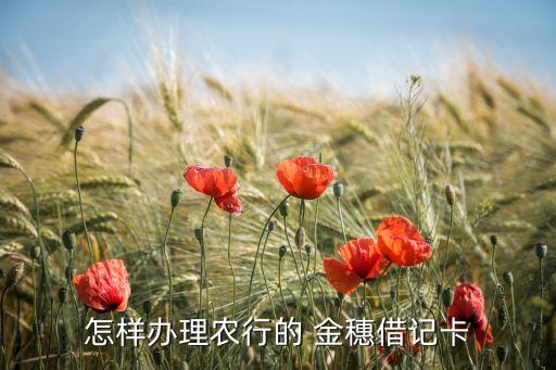 农业金穗卡怎么刷,农业信用卡金穗卡额度