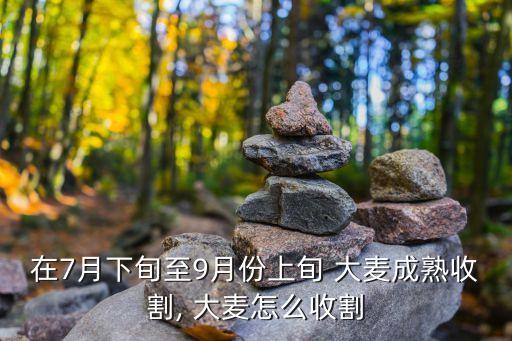 在7月下旬至9月份上旬 大麦成熟收割, 大麦怎么收割