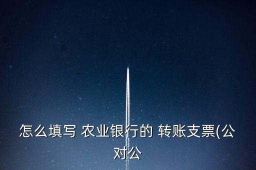 怎么填写 农业银行的 转账支票(公对公