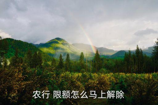 澄海农业银行限额怎么办,农业银行限额20000怎么办