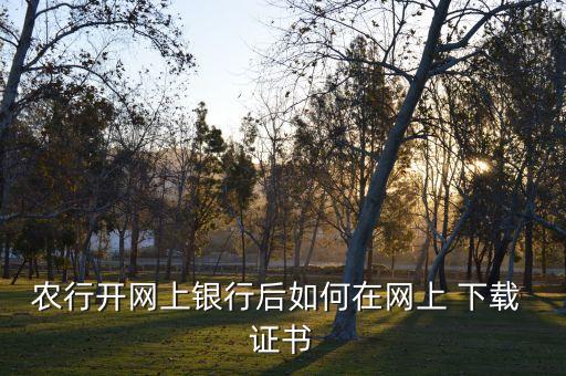 农业银行客户证书怎么下载