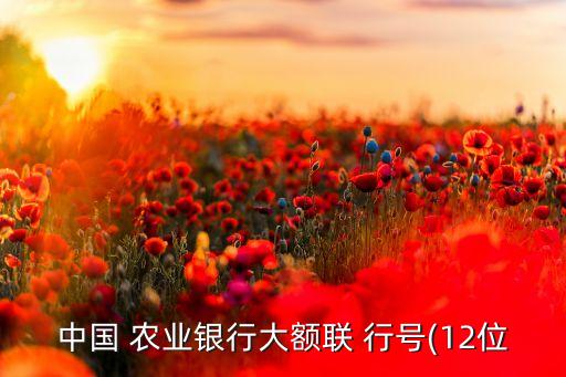 嵩明县农业银行行号是什么,农业银行联行号查询关键字是什么