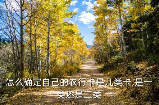怎么区分农业银行卡,农业银行卡怎么区分一类二类