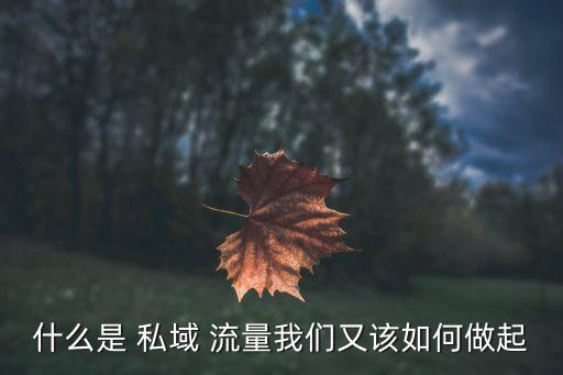 农业公司私域流量怎么玩,开私域流量公司条件