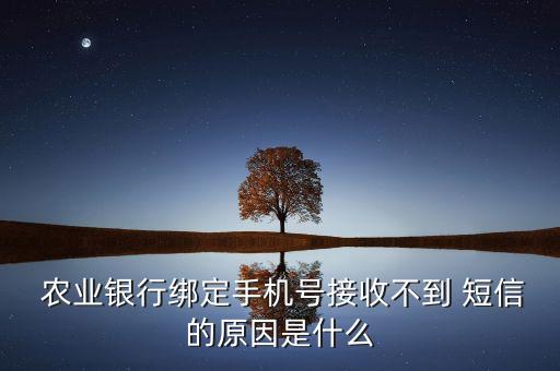 农业卡怎么没短信了