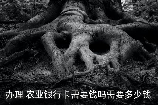 农业银行储蓄卡怎么收费