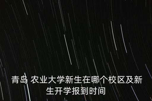 青岛农业大学交费怎么交