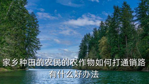 怎么对接农业和市场