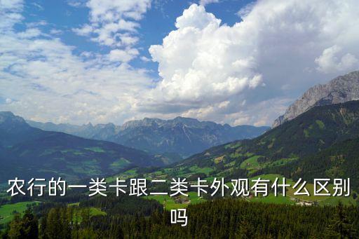 农业银行怎么看类型卡