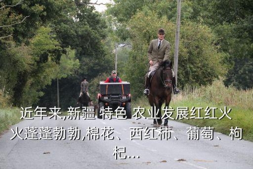 新疆地区农业特色怎么写,新疆富有特色的农业是