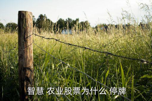 智慧农业停牌怎么回事,和智慧农业