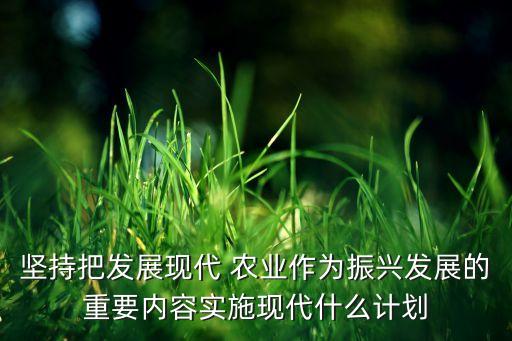坚持把发展现代 农业作为振兴发展的重要内容实施现代什么计划