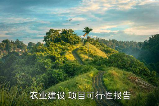  农业建设 项目可行性报告