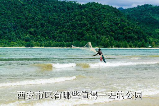 陕西七叶莲农业怎么样