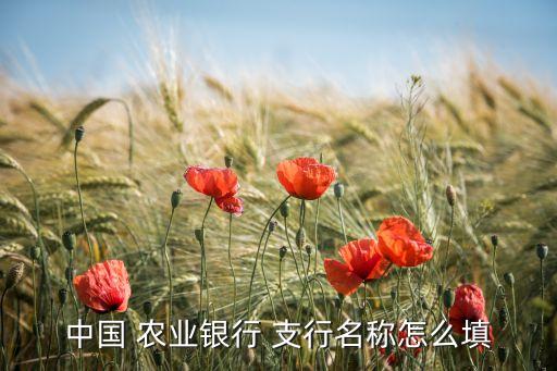 中国 农业银行 支行名称怎么填