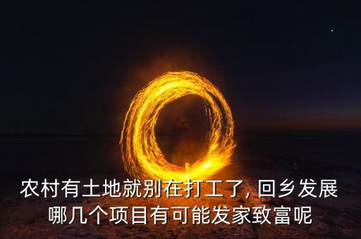 农村有土地就别在打工了, 回乡发展哪几个项目有可能发家致富呢