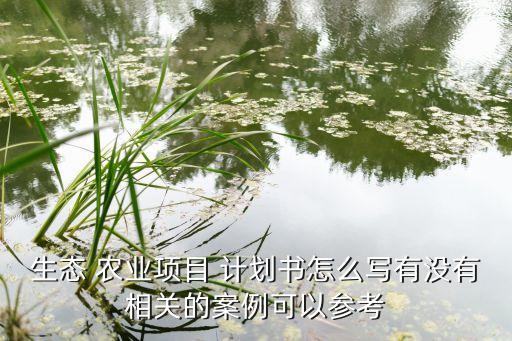 东莞农业商业计划书怎么写,互联网 农业商业计划书