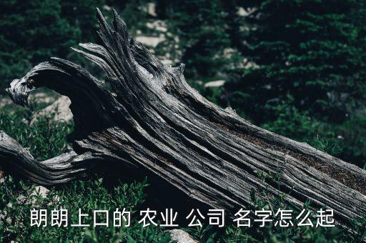 公司名字创意农业怎么取,和农业有关的公司名字