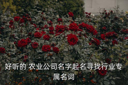 店铺取名农业怎么取名好,店铺名称取名