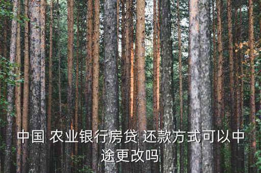 农业银行按揭怎么部分还款