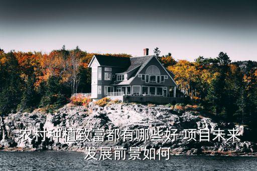  农村种植致富都有哪些好 项目未来发展前景如何